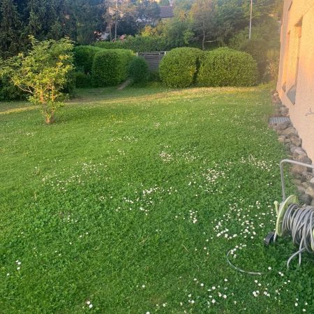 Grosszügige Wohnung mit Gartensitzplatz - Photo 1