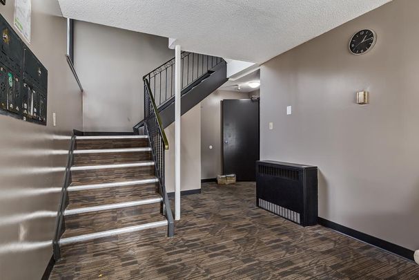 2 Bedroom - Photo 1
