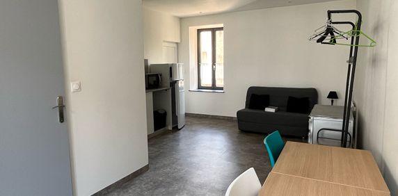 Location Appartement 1 pièce 25m² - Photo 2