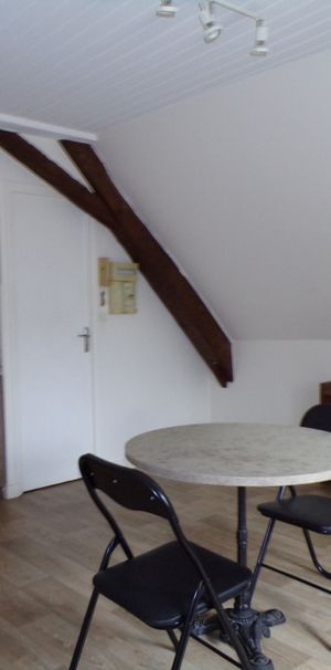 Location Appartement 1 pièce 17m² SABLE SUR SARTHE 72300 - Photo 1