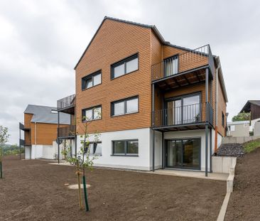 Schickes Appartement mit Terrasse - Photo 2