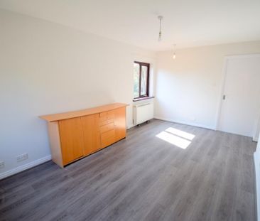 1b Windsor Mews, Belfast, BT9 6FD - Photo 4