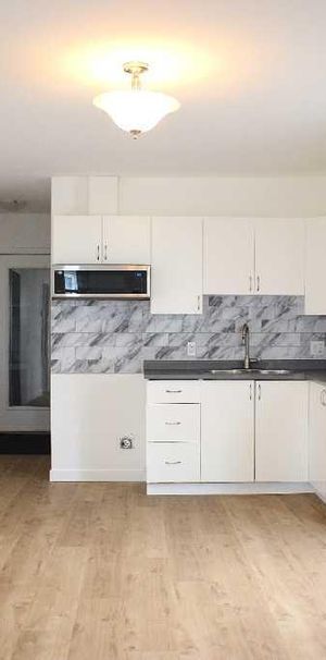 Grand logement 4 1/2 rénové disponible pour octobre - Photo 1