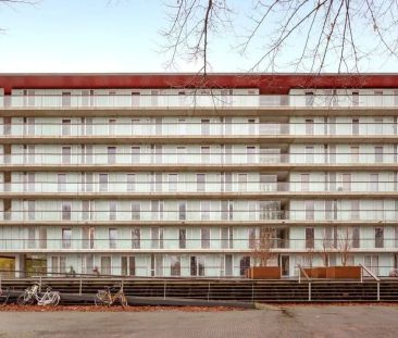 Appartement 3 pièces Osdorper Ban, Amsterdam - À louer - Foto 6