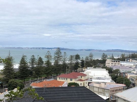 Charming 1 BDR Bluff Hill Flat with Seaviews - Photo 1
