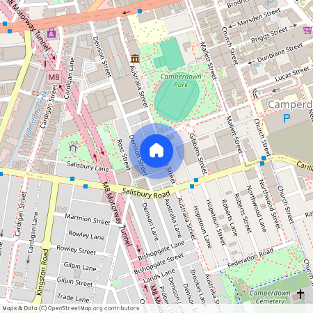 93 Australia Street Camperdown NSW