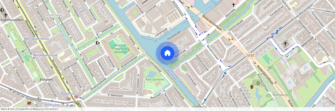 Binckhorst, 2516 CH, Den Haag