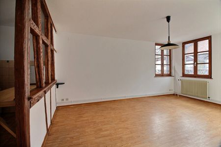 Location Appartement 2 pièces 44m² BARR 67140 - Photo 2