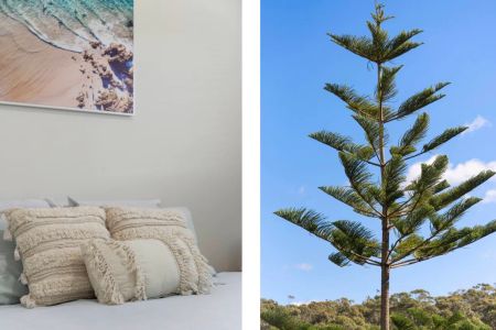 Stylish, Low-Maintenance 2-Bedroom Home in a Peaceful Setting - Photo 5