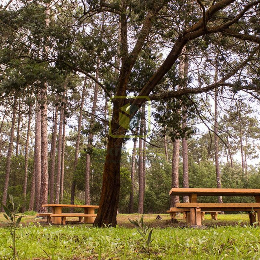 Apartamento T2 em Aveiro - Photo 1