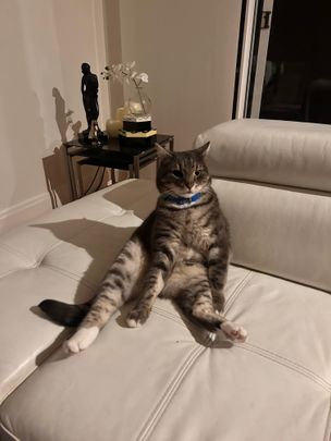 Caulfield South - Photo 1