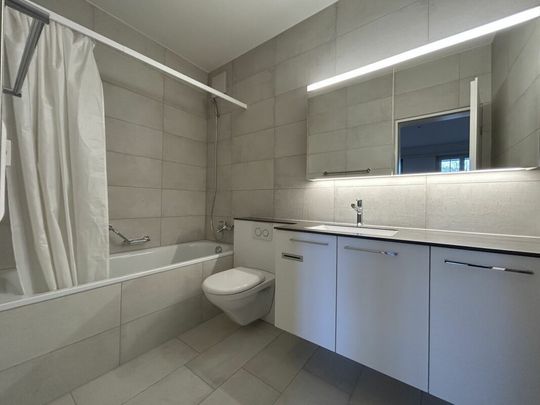 Frick / 3.5 room apartment 1st floor left - Photo 1