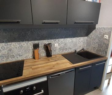Location Appartement 1 pièce Meublé 30m² DAMMARTIN EN GOELE 77230 - Photo 4