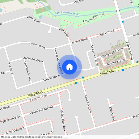 42 Seguin Street Unit# basement, Richmond Hill