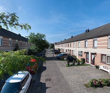 Schoener 12 - Photo 1