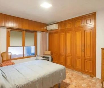 Oliva - Photo 6