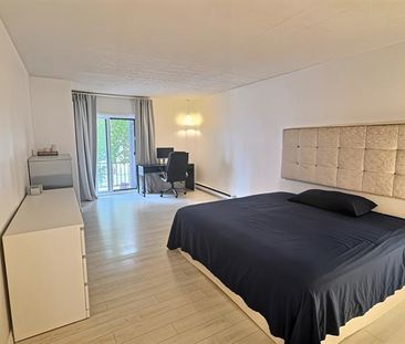 131 Av. du Mont Royal O. - Photo 6