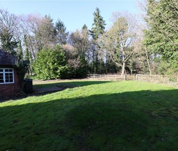 2 bedroom bungalow to rent - Photo 5