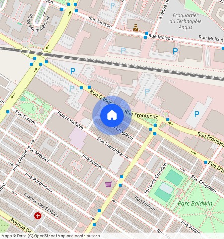 ** Rue Chapleau, Plateau-Mont-Royal, Plateau-Mont-Royal, Ile de Montréal, H2H 2L4