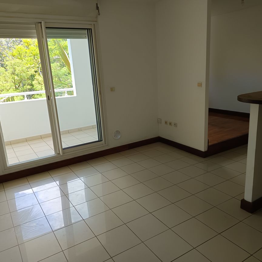 Location Appartement 1 pièce 28m² ST DENIS 97400 - Photo 1