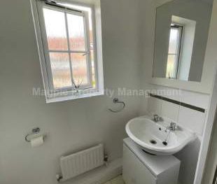 1 bedroom property to rent in Hatfield - Photo 4