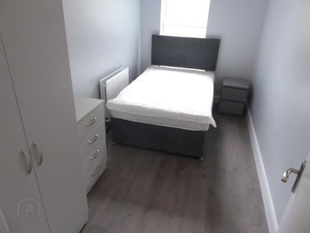 Apt 3, 47 Eglantine Avenue, Belfast, BT9 6EW - Photo 4