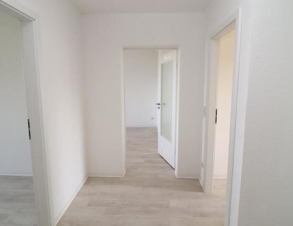 Im Flemminggebiet daheim... Halbes Jahr-halbe (Kalt) Miete - Foto 1