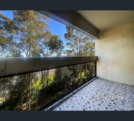 6K/15 Campbell Street, Parramatta, NSW 2150 - Photo 3