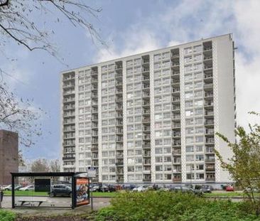 Van Leeuwenhoekstraat 0ong 2014 EN Haarlem - Photo 1