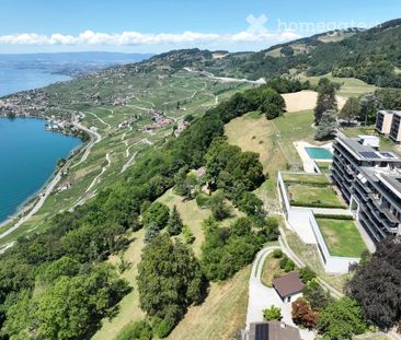 2,5 pièces vue imprenable au cœur du Lavaux (UNESCO) - Reprise de b... - Photo 4