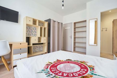 JEANNE D'ARC Roommate 4 Bedrooms at Nancy - Photo 3