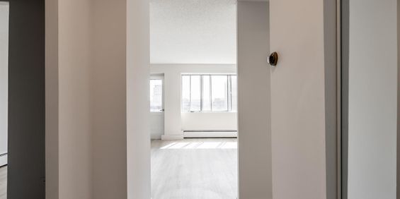 Sunny And Renovated 4 1/2 - Saint Laurent - 335 Boulevard Deguire, Saint-Laurent - Photo 3