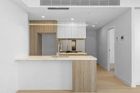 Modern Light Filled Apartment - Photo 2