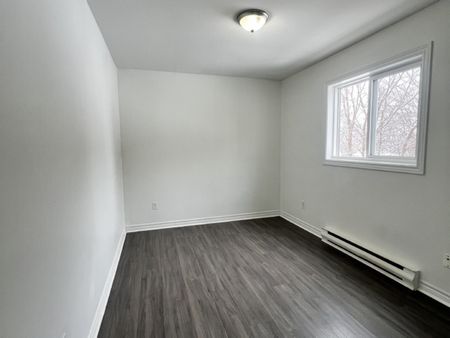 56B CHADWICK ST | 3 BR MAIN LEVEL UNIT | AVAILABLE NOW | $1995 - Photo 3