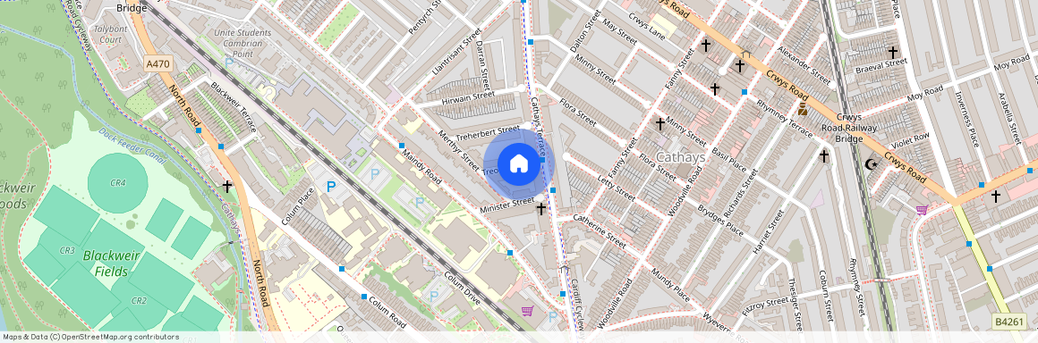 Treorky Street, CF24 4JP, Cathays