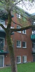 1 room apartment of 44m² in Quebec - Photo 1