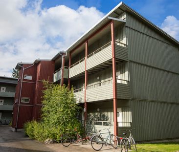 Tvistevägen, Umeå - Foto 1