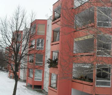 1-Zimmer-Wohnung mit Loggia, Top 302 - Foto 1
