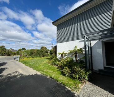 12 Manuka Street - Photo 4