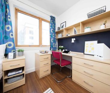 Classic Studio - Photo 5