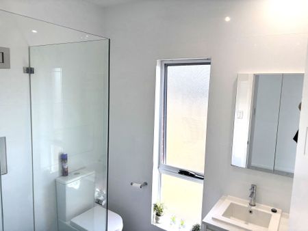 Modern 1 Bedroom Granny Flat - Photo 4