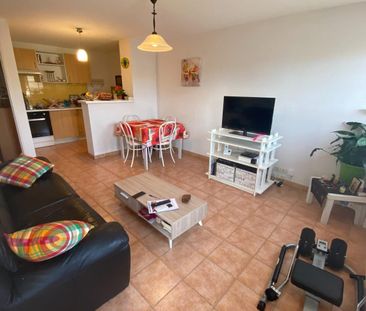 Location Appartement 3 pièces 55m² ALBI 81000 - Photo 3