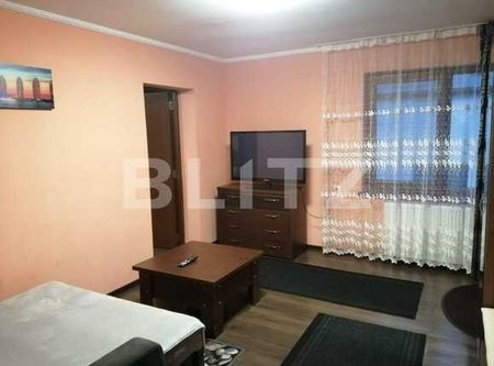 Apartament semidecomandat spatios cu 3 camere in Someseni - Fotografie 4