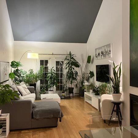 CONDO À LOUER MONT-TREMBLANT - Photo 4