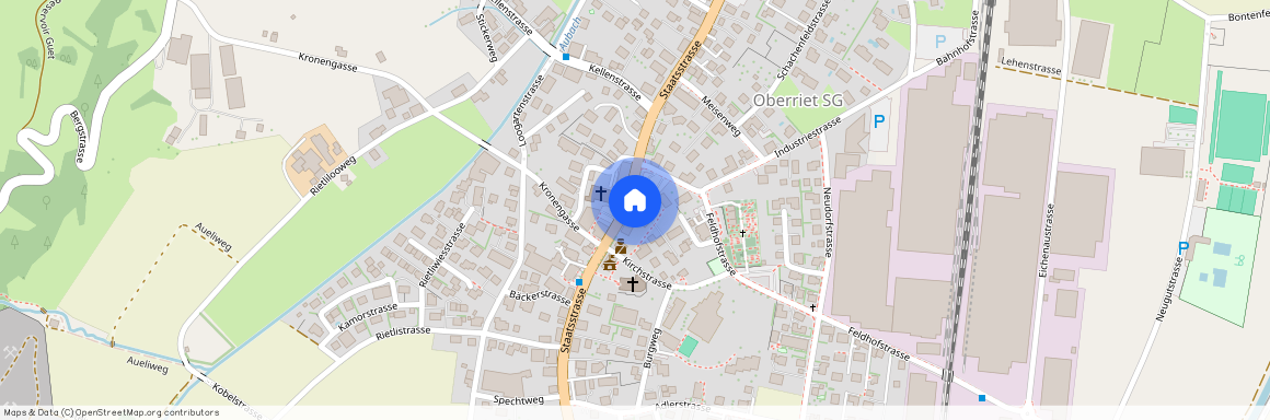 9463, Oberriet, Staatsstrasse, 100