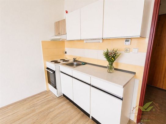 Pronájem bytu 1+kk 30 m² - Photo 1