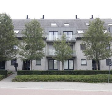 Duplex te huur - Photo 6