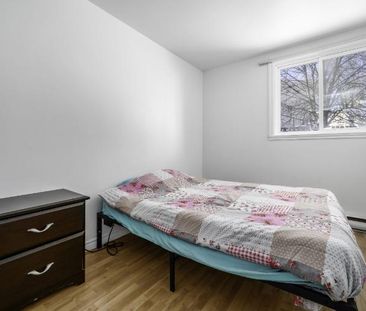 Appartement 4 ½ à louer Lévis juillet 2026 - Photo 2