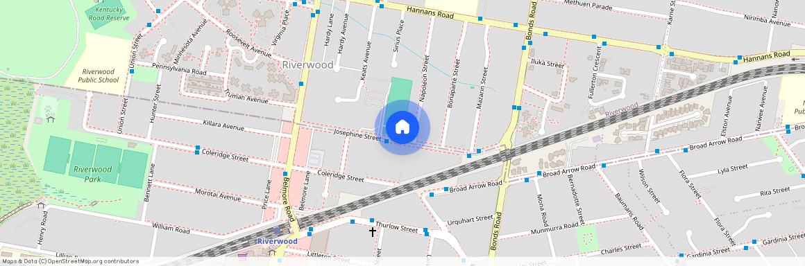 46 Josephine Street Riverwood, NSW 2210