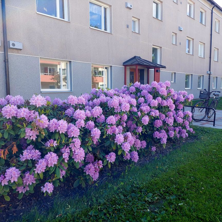 Torngatan 38 A - Foto 1